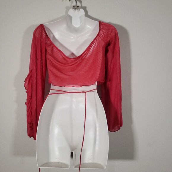 Zara women's Crop Top Large Hot Pink Ruched Sheer Fairy Ruffles Boho Hippie - Picture 6 of 7